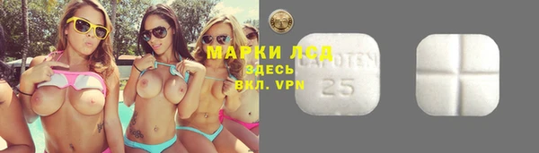 сатива Майский