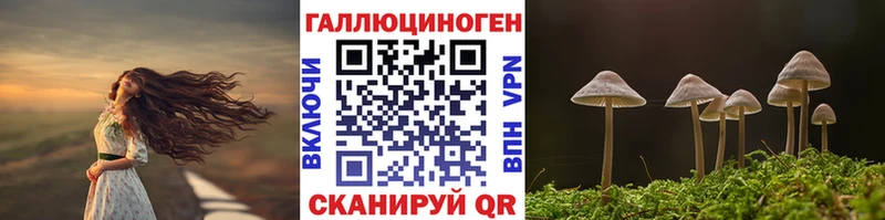 Псилоцибиновые грибы Cubensis  сайты даркнета клад  Старый Оскол 