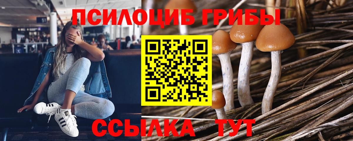 Галлюциногенные грибы GOLDEN TEACHER  наркошоп  Вход с VPN  Старый Оскол  Псилоцибиновые грибы прущие грибы 
