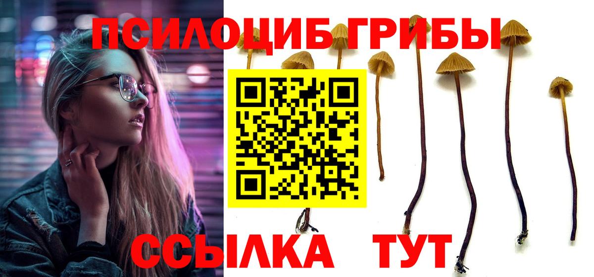 Псилоцибиновые грибы Magic Shrooms Старый Оскол