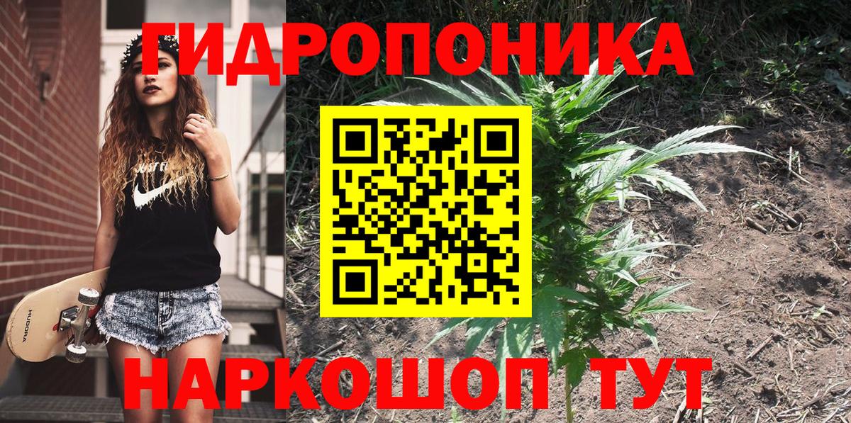 Бошки марихуана OG Kush Старый Оскол